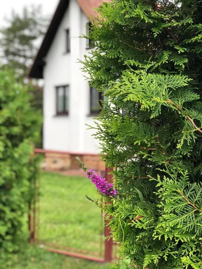 Chata U Smoliku Borovany  Exterior foto