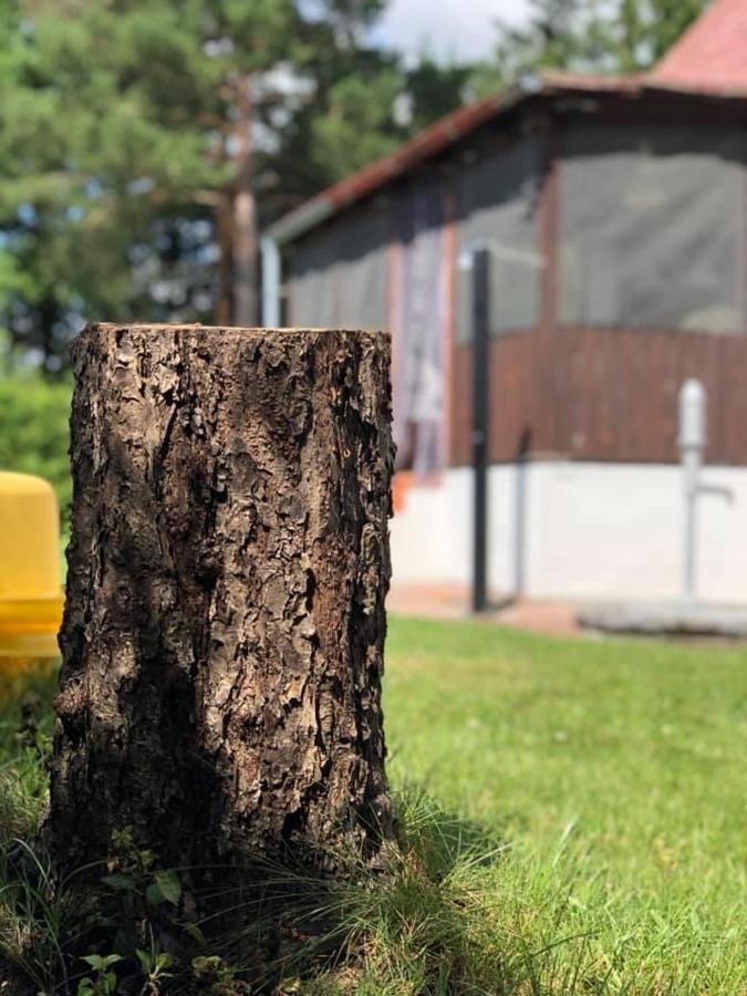Chata U Smoliku Borovany  Exterior foto